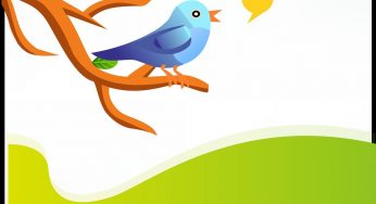 Twitter Ads para tus estrategias de marketing