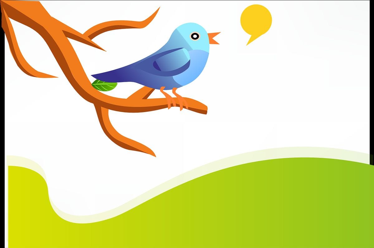 Twitter Ads para tus estrategias de marketing